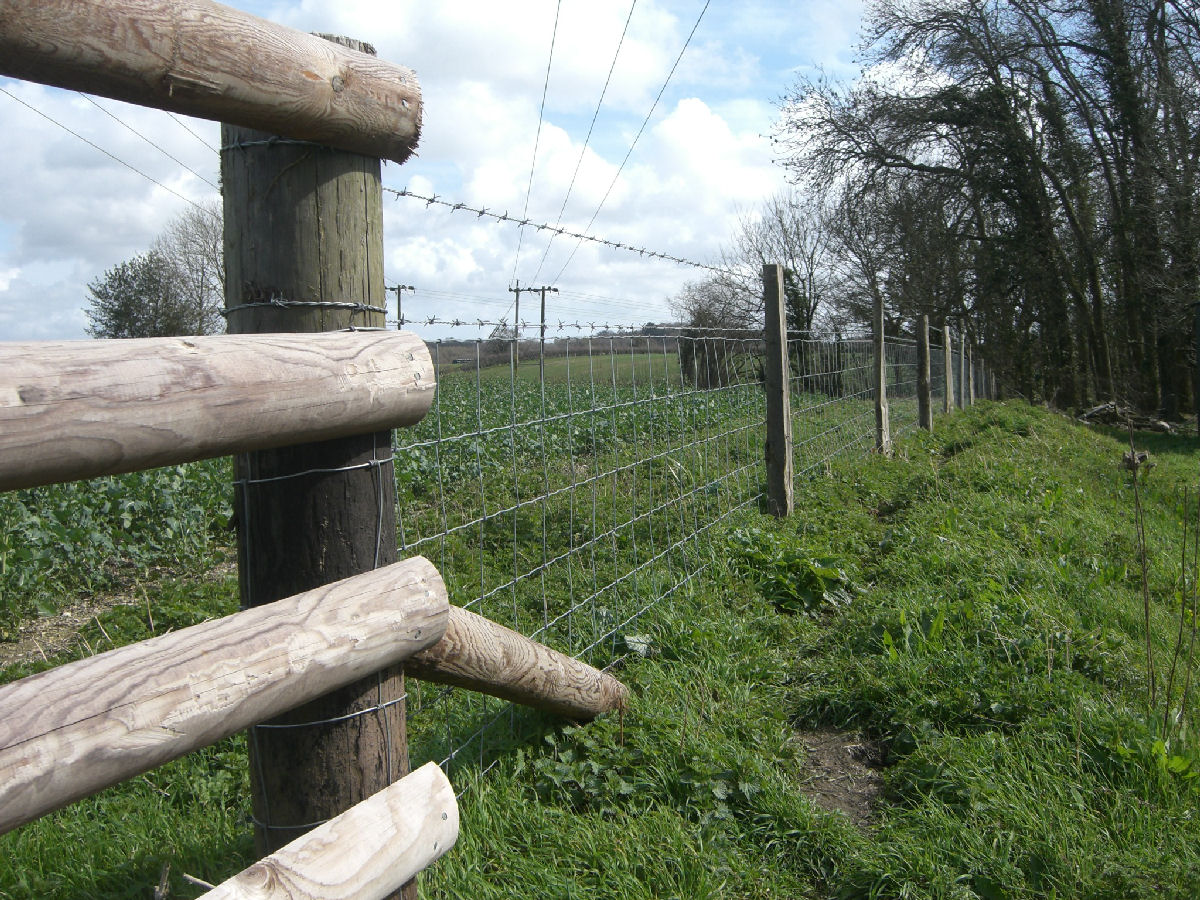 Gallery Dorset Fencing Supplies Ltd